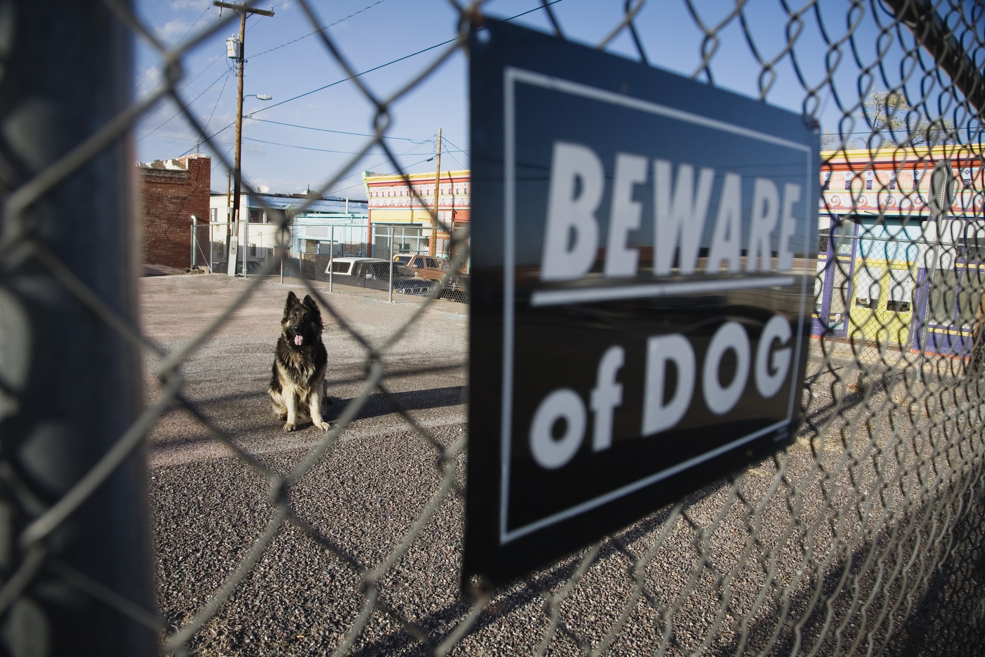 dog bite lawyer Carrollton, TX